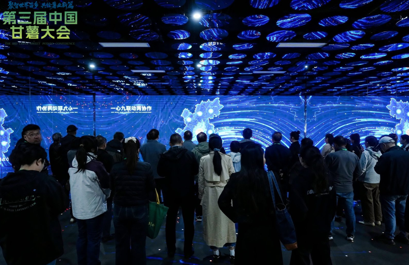 屏幕截图 2026-01-27 211410.png